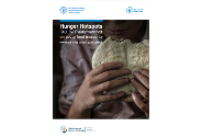 [WFP]Hunger Hotspots: FAO-WFP early warnings on acute food insecurity, November 2023 to April 2024 outlook