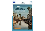 [WB]Libya Storm and Flooding 2023 : Rapid Damage and Needs Assessment