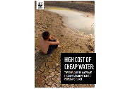 [WWF]The High Cost of Cheap Water