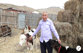 Korea's development model takes root on the Mongolian steppe